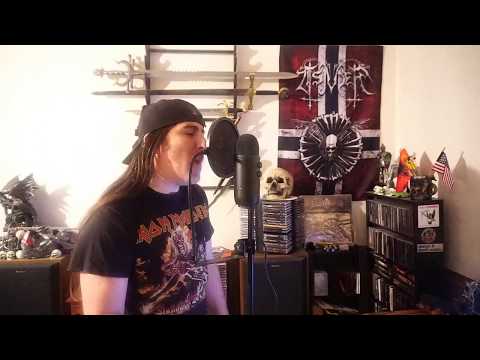 Iron Maiden " The Trooper " ( vocal cover )