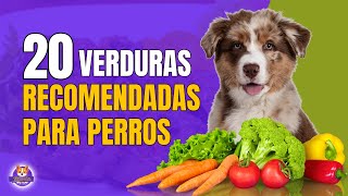 VERDURAS RECOMENDADAS PARA PERROS