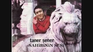 Taner Şener - Kıymetini bilemeden ya biterse diyemeden (Geçti ömrün ilkbaharı)