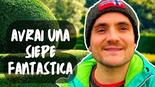 Le 5 Domande Per Chi Vuole Piantare Una Siepe Con Esempi