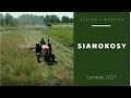 Sianokosy u Andrzeja i Gienka w Plutyczach
