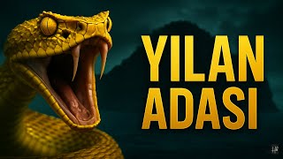 Dünyanın En Tehlikeli Adası Yılan Adasına Adım Atabilir Misiniz?