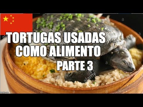 Vídeo: Sopa De Tortuga: Recepta, Característiques De La Cuina