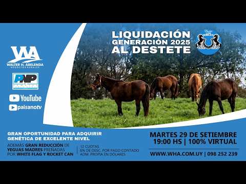 29-09-26 HARAS LOS ROBLES