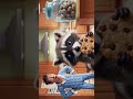 Fun 🦫🦫🦫 #shorts #comedy #funny #trending #viral #cartoon #california #explore #global #youtubeshorts