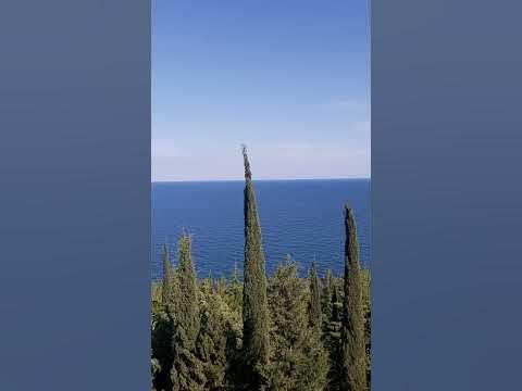 Крым. Южный берег Крыма. Чёрное море. Лесной массив. - YouTube