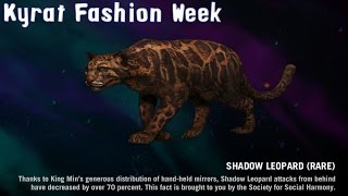 激レア✨share spirit leopard far 激レア✨share spirit leopard far（Rare sighting Sightings