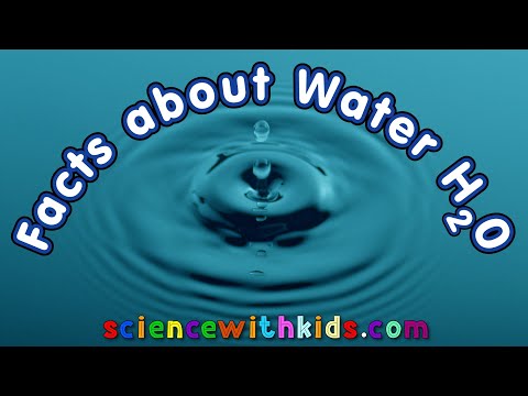 Video: Interesting facts about water for adults and children
