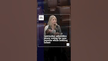 Lawmaker Advocates Proxy Voting For New Parents While Holding Infant