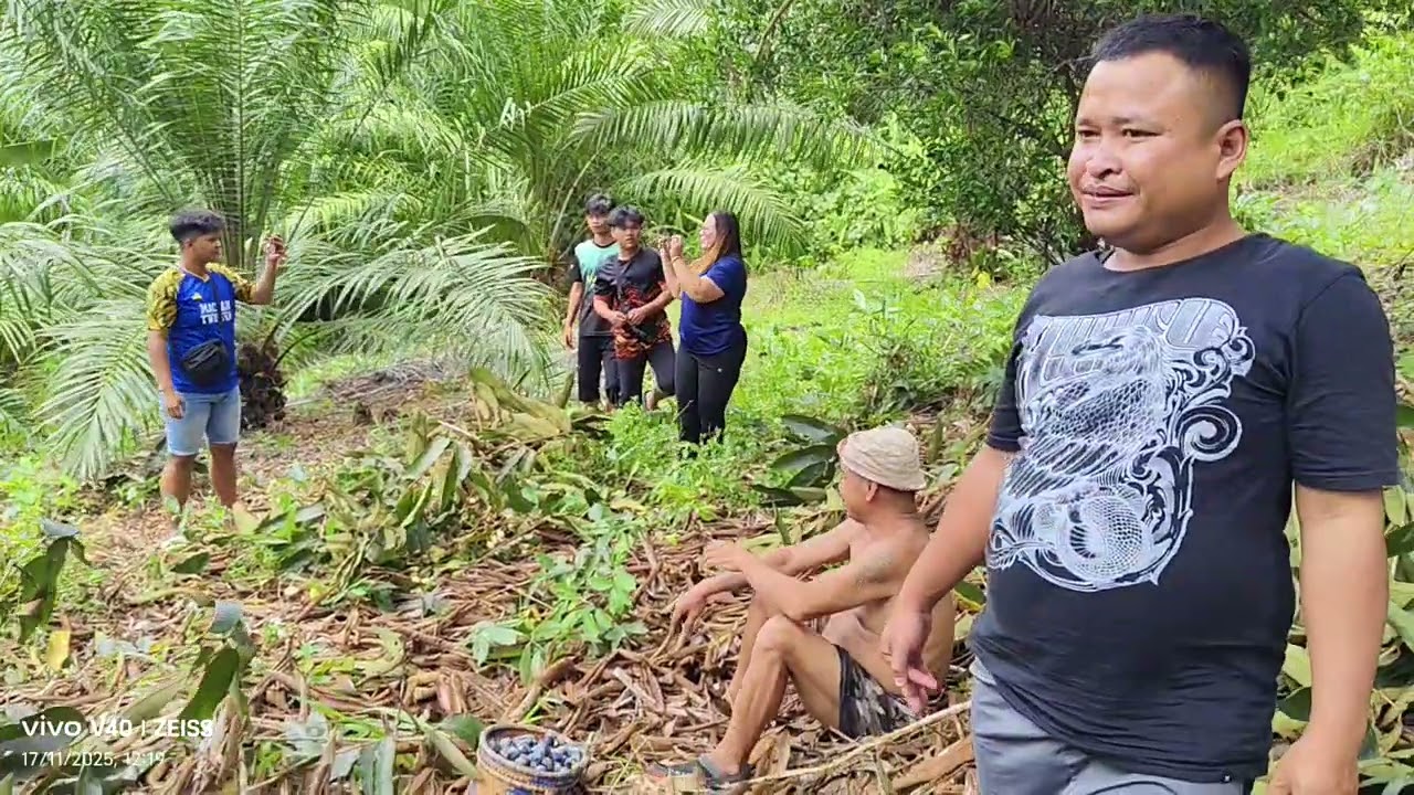 Ngumpul buah tapik ba kebun Akus