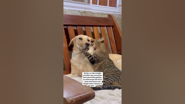 Eles cruzaram 😳🤡 #cachorro  #gatos  #animais #cachorros#gato   #animal  #filhotes
