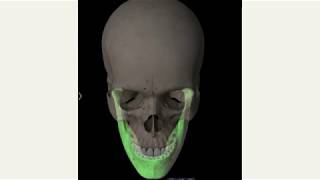 TMJ Positioning