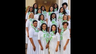 Happy First AKAversary to the 16 Perseverant Pearls!