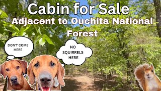 Buying or Investing in a Cabin  | Broken Bow OK