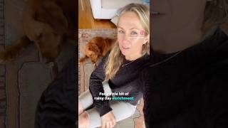 What rainy day activities do you do for your dog? #dogtraining #dogtrainingtips #enrichment #dogmom