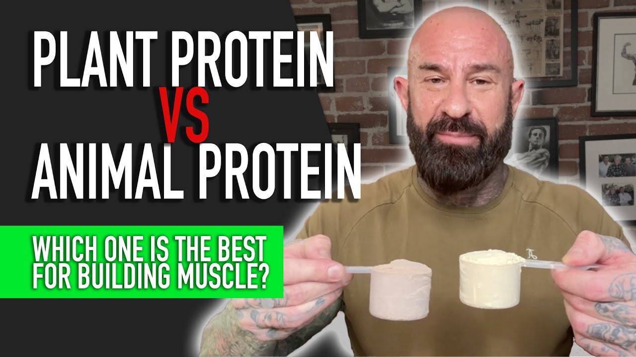 Whey vs. Plant-Based Protein for Muscle Growth: Which is Best?