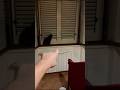 C’È IL MOSTRO DI 99 NOTTI CHE È INCASTRATO NELLA FINESTRA!! #shorts #fortnite #roblox #horror #ps5