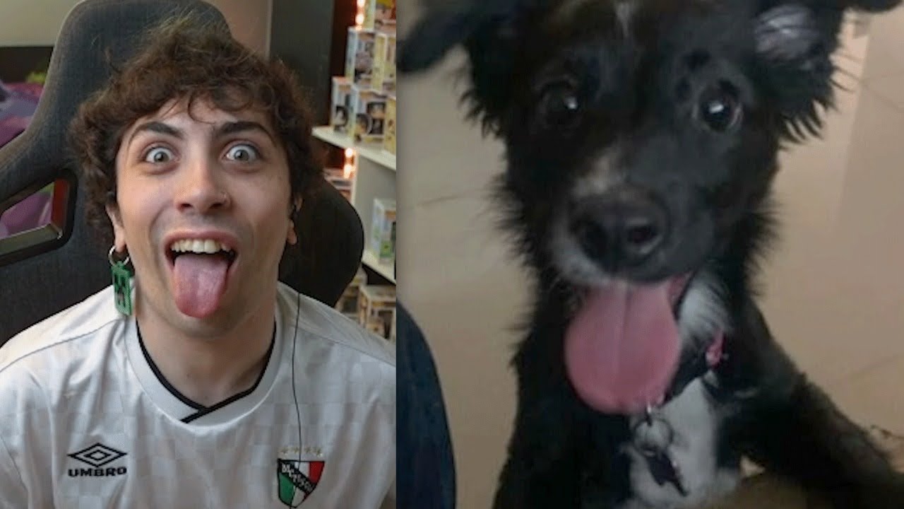 las mascotas de mis viewers 🤪