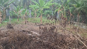 18/7/2025/ bán đất thổ cư mặt tiền đường nhựa 5x33co 50 m thổ  giá chỉ 580 tr. Lh0984758832