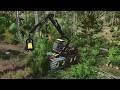 Finishing up the hill cut | S3 EP2 | Multiplayer Monday | Dalberg forestry
