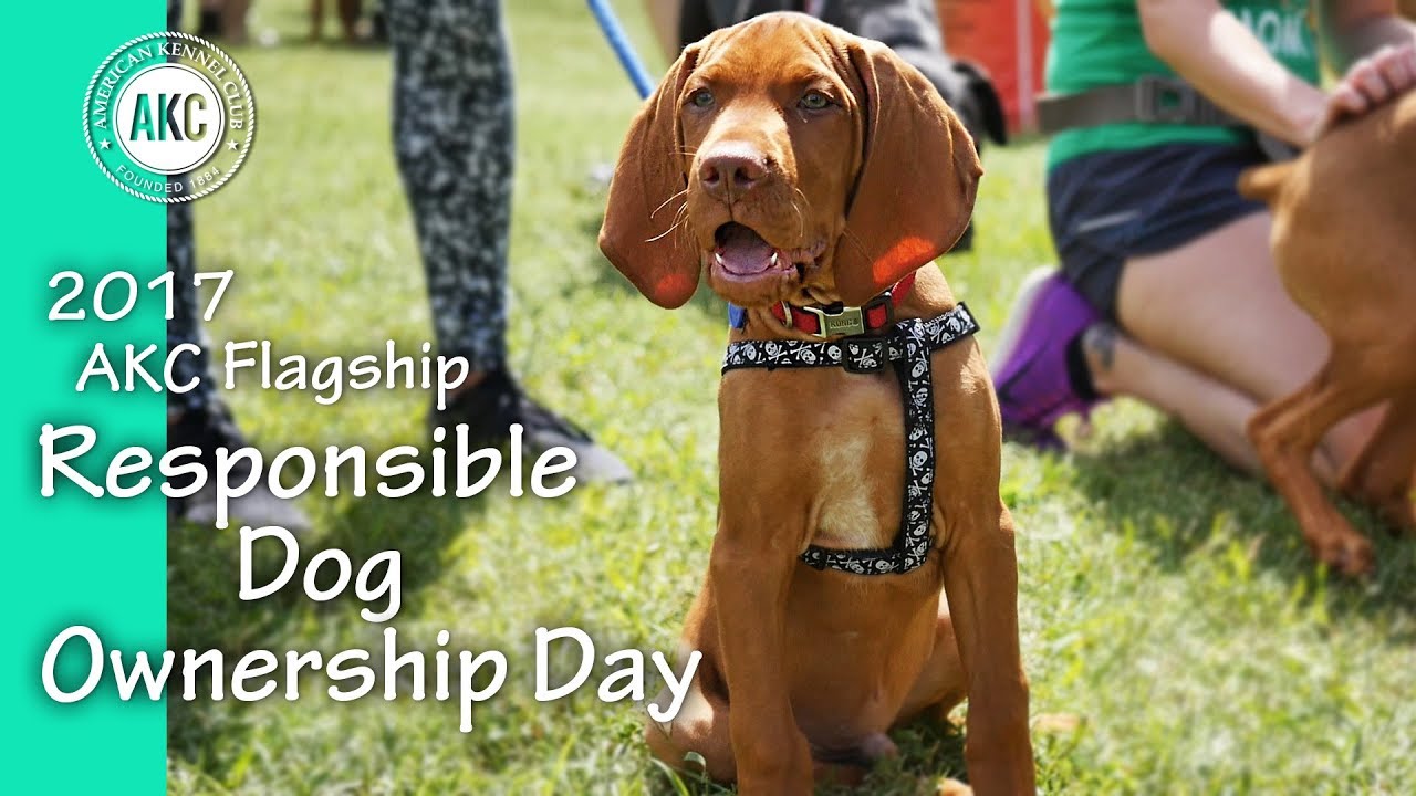 responsible dog ownership day
