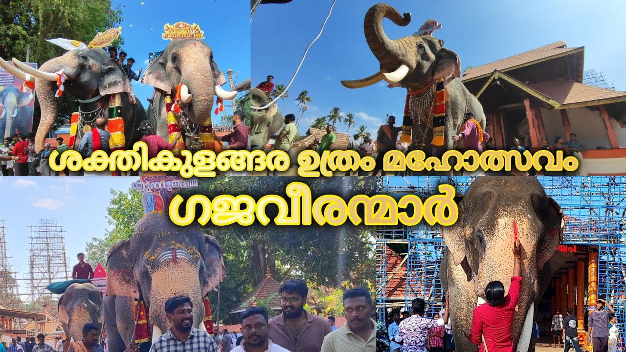 Sakthikulangara Sree Dharma Sastha Temple / ഗജവീരന്മാർ / ശക്തികുളങ്ങര ഉത്രം മഹോത്സവം #kollam