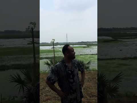 আমার হার কালা করলাম রে