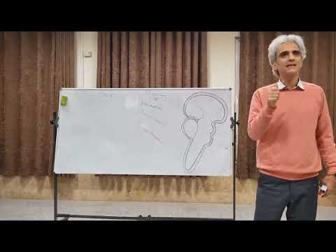 نوروآناتومی مننژ1