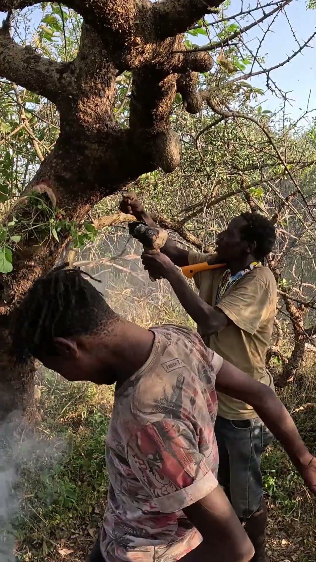 Collecting Wild Honey with the Hadza Tribe in Tanzania