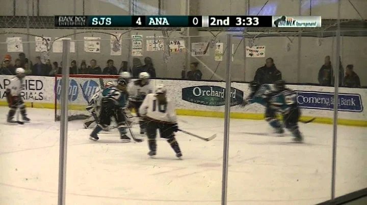 Raw Footage Reel: Laura Thacker (1/18/13)
