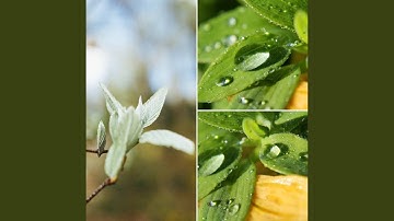 Exquisite Ambience for Chilly Evening