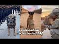 Las despedidas más tristes del 2026 💔😢