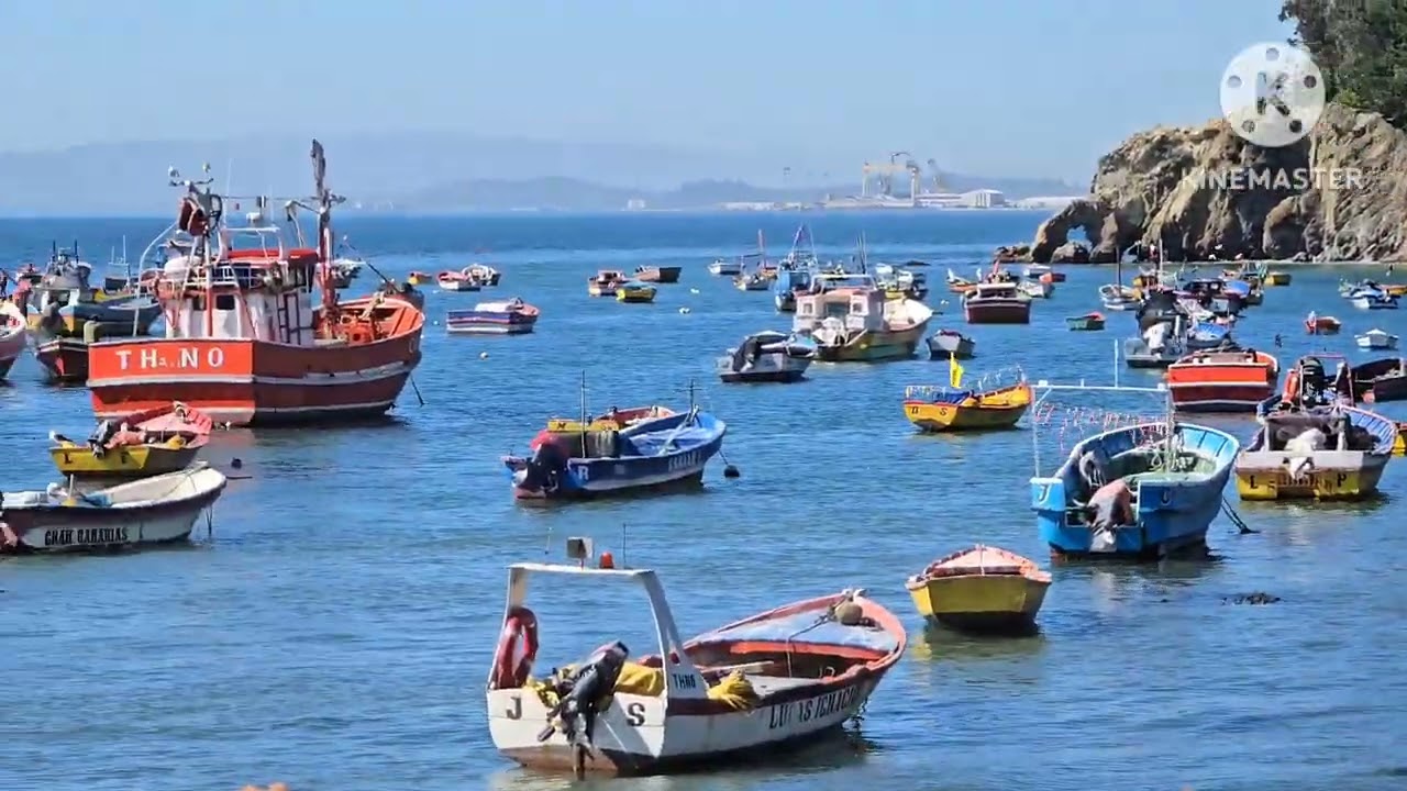 conociendo Concepción Chile