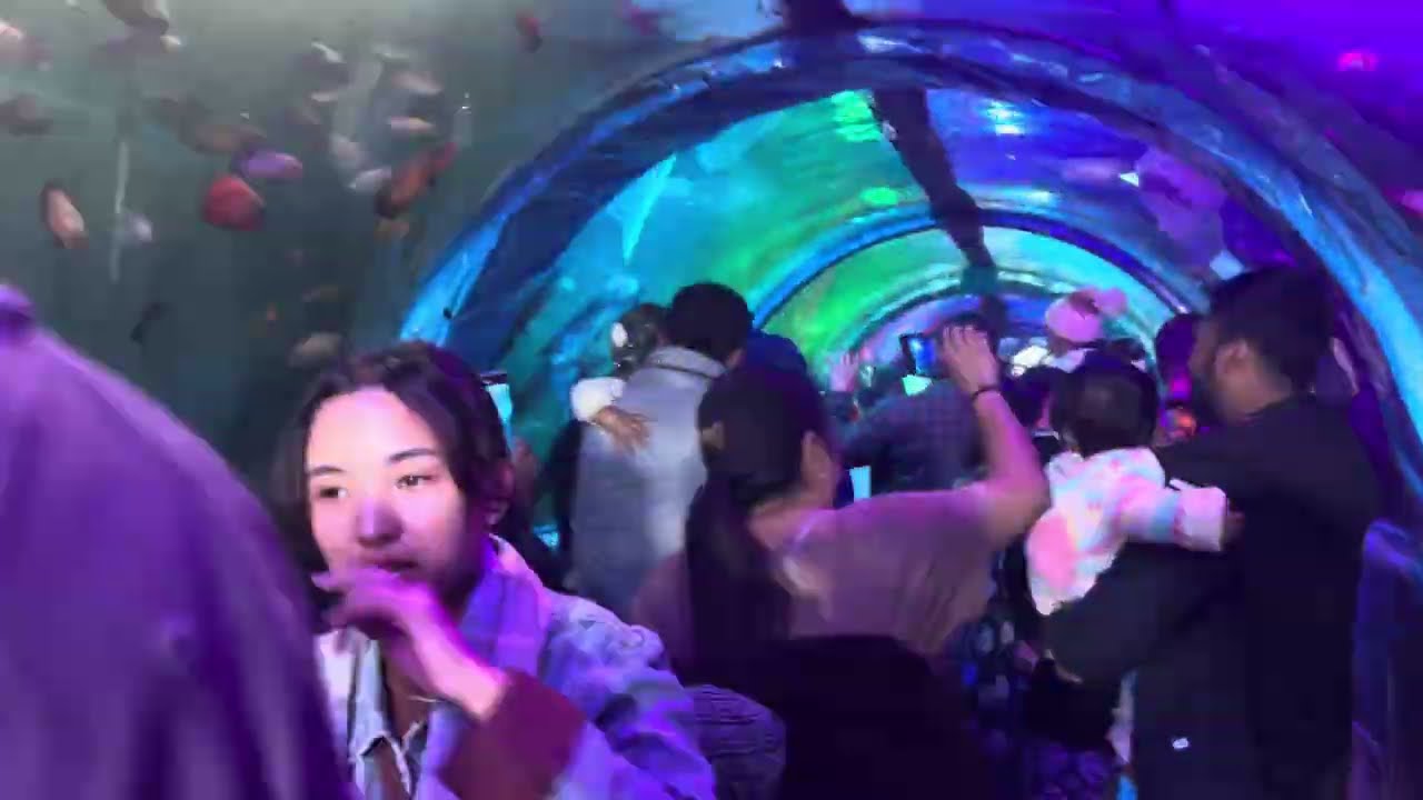 Burma camp mela//Dimapur :Nagaland 