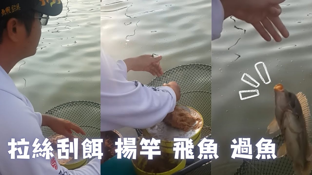 拉絲刮餌  揚竿  飛魚 過魚
