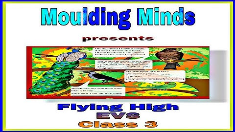 Flying High||EVS CLASS - 3|| Worksheet for chapter Flying High