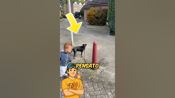 SUPER SMART DOG HELPS LITTLE BABY! ❤️ #shorts