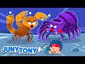 Scorpion vs. Tarantula 🦂🕷️ | Monster in the Dark Song |  More Funny Kids Songs | JunyTony