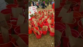 FAMILY APPLE PICKING | BATTLEFIELD ORCHARD | FREEHOLD , NJ | FORGOTTEN SCENE