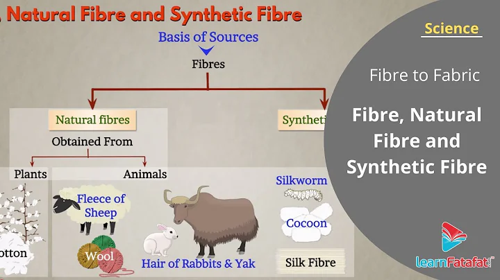 Fibre to Fabric Class 6 Science Chapter 3 - Fibre, Natural Fibre and Synthetic Fibre