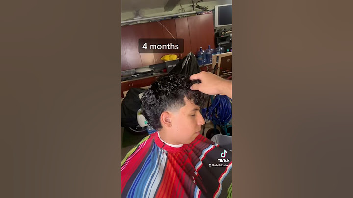 Mullet Progress 💈