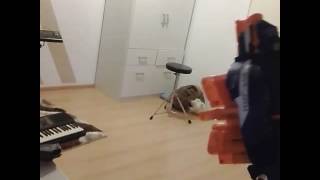 Nerf HAIL-FIRE schuss test ergebnis geeeeiiiiieeell