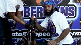 @AtlantaEuropeanDobermans Doberman Ear Posting