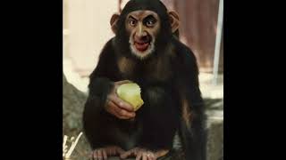 To Transcend This Modern Monkey Man