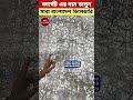 কার্পেট এর দাম জানুন