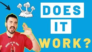 My Experience Microdosing Magic Mushrooms - Health Benefits of Psilocybin