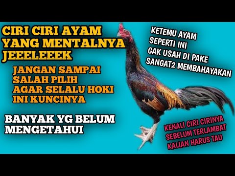 Video: Apakah baris tegak pegangan lebar buruk?