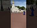 Paying our respects