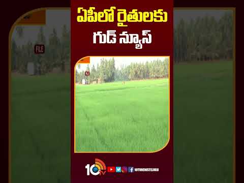 Good News for Farmers in AP | ఏపీలో రైతులకు గుడ్న్యూస్ | apfarmers shorts apnews 10tvnews