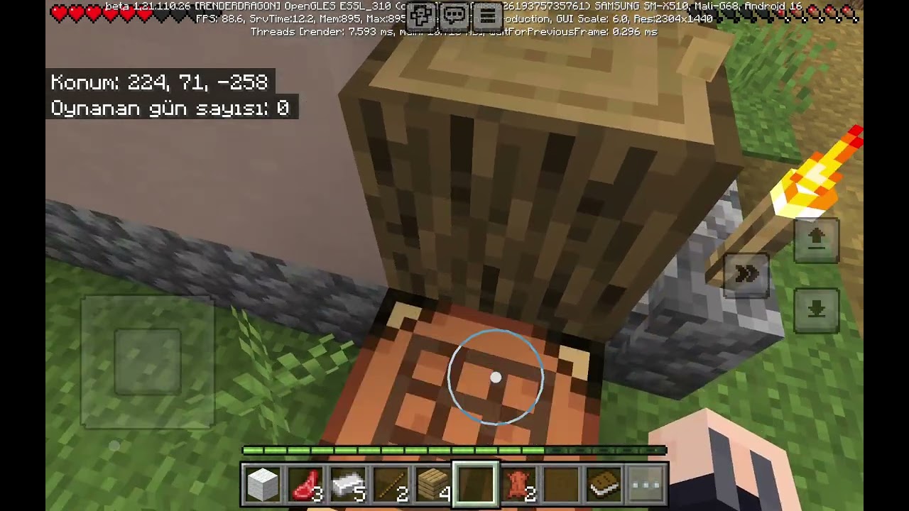 Minecraft yeni seri başladım (tek başıma)